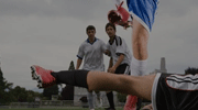 NCAA录像  2024年03月31日 伊利诺伊大学vs康涅狄格大学比赛视频完整直播回看